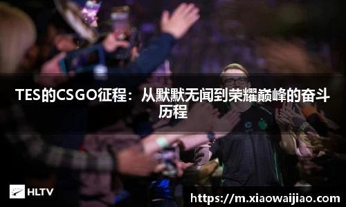 TES的CSGO征程：从默默无闻到荣耀巅峰的奋斗历程