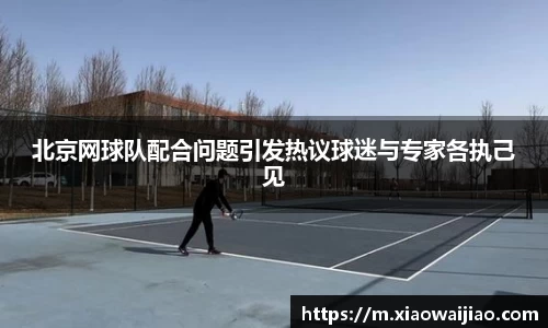 北京网球队配合问题引发热议球迷与专家各执己见