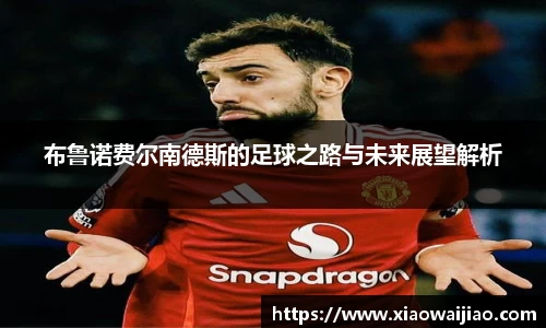 布鲁诺费尔南德斯的足球之路与未来展望解析