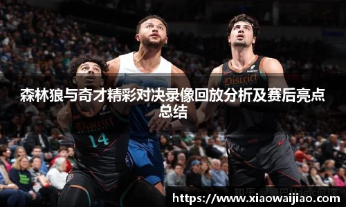 森林狼与奇才精彩对决录像回放分析及赛后亮点总结