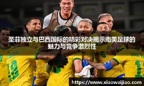 圣菲独立与巴西国际的精彩对决揭示南美足球的魅力与竞争激烈性