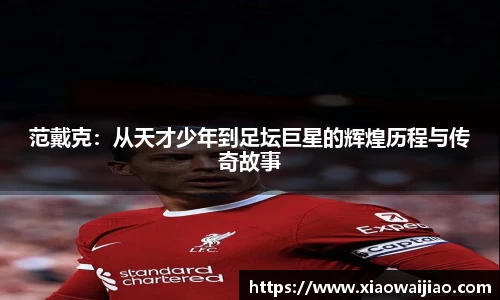 范戴克：从天才少年到足坛巨星的辉煌历程与传奇故事