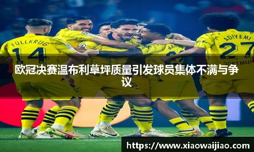 欧冠决赛温布利草坪质量引发球员集体不满与争议