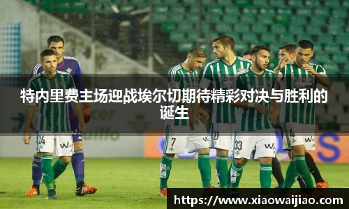 沐鸣网页登录入口